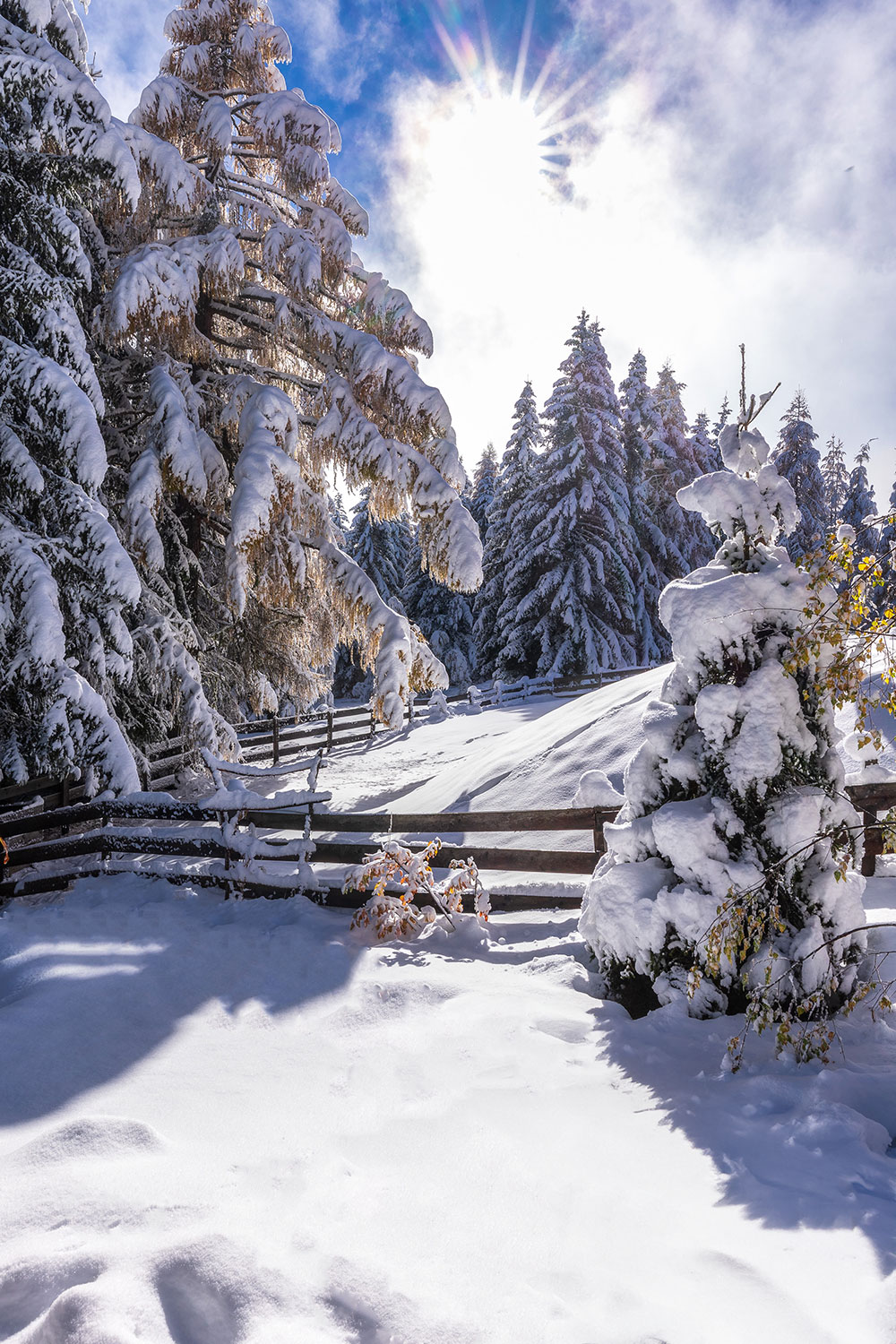 startseite_winter_klein